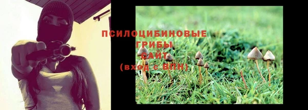 мяу мяу мука Баксан